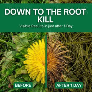 Alternative view of 3 in 1 Max Power Herbicide