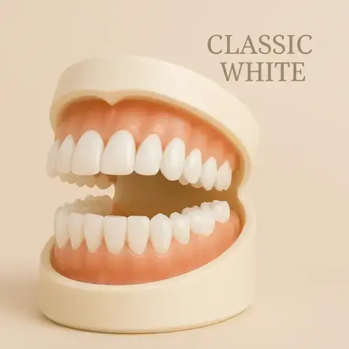 – Premium Denture Set - Image 3
