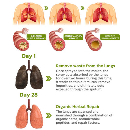 BreathDetox Herbal Lung Cleansing Spray - Image 3