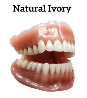 Advanced Customized Full Denture Set - Image 6