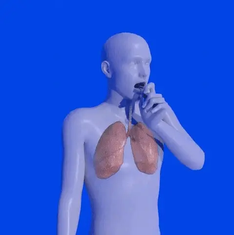 Organic Herbal Lung Cleanse Repair Nasal Spray - Image 4