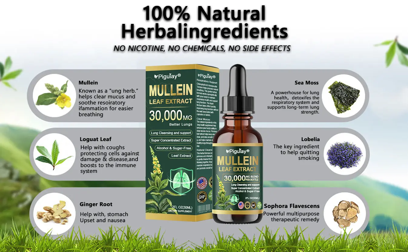 Organic Lung Cleansing Mullein Leaf Extract Drops - Image 11