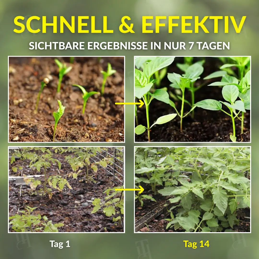 2 in 1 Vita-Enzym Lösung - Image 2