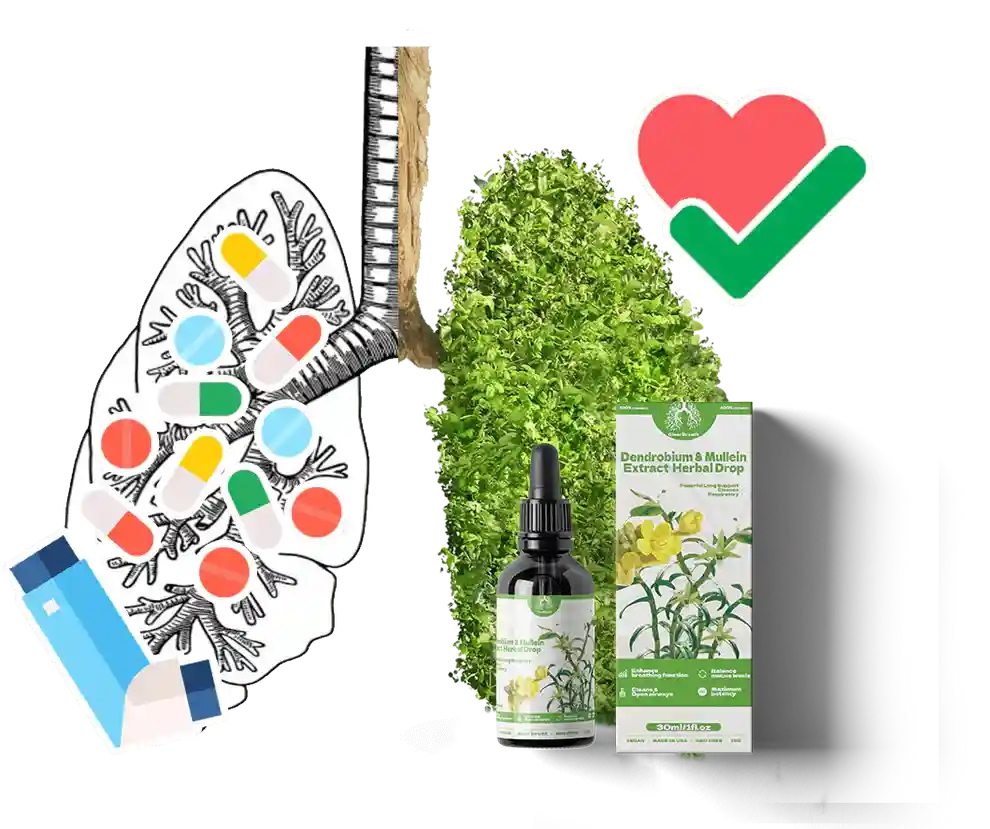 BREATHE-RIGHT DENDROBIUM & MULLEIN EXTRACT: POWERFUL LUNG SUPPORT CLEANSE & RESPIRATORY - Image 6