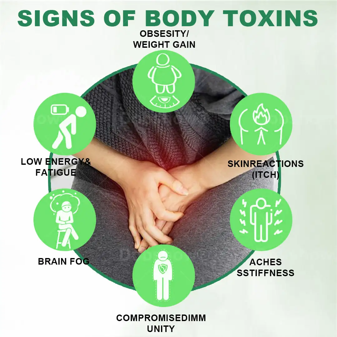 Anti-ltch Detox Slimming Capsule - Image 2