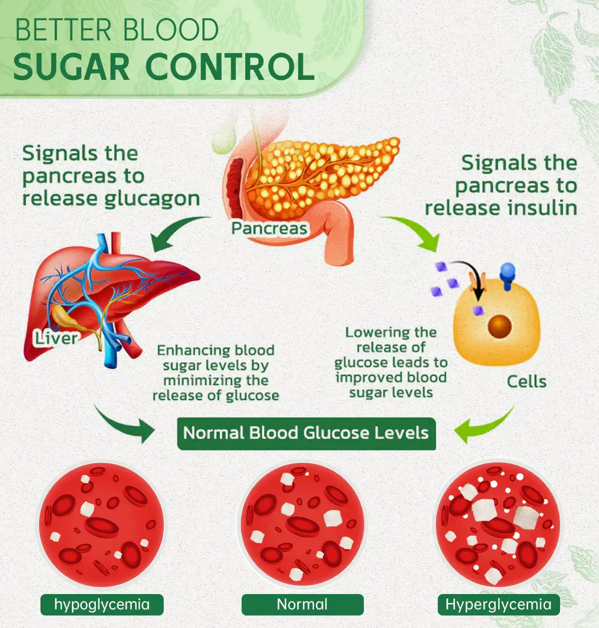 DiabetesCare SugarDown Health Control Spray - Image 4