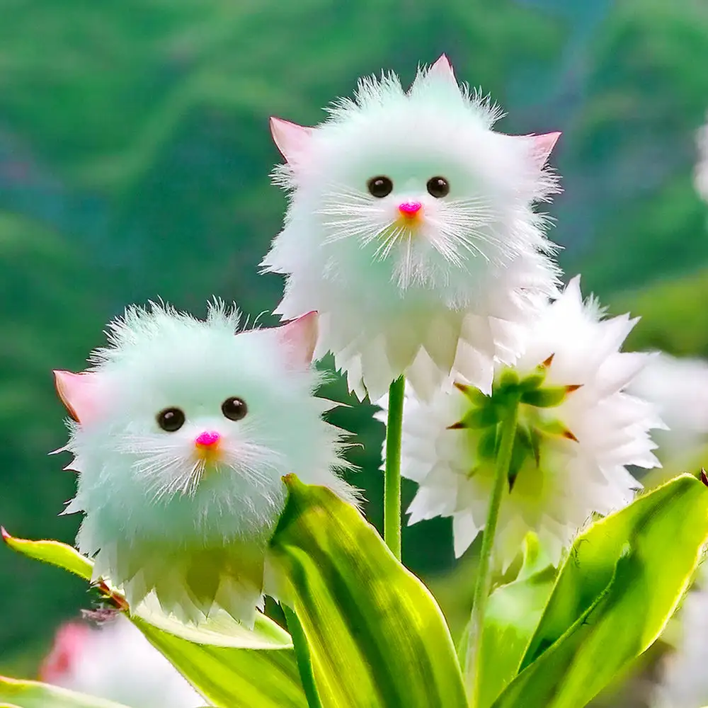 Charming Blossom Seeds - Image 6