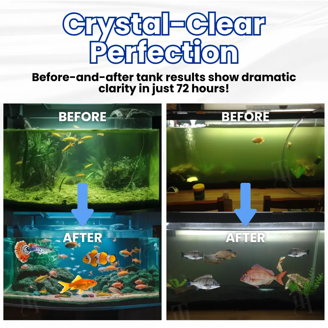 Max-Power Aquarium Purification Tablet - Image 2