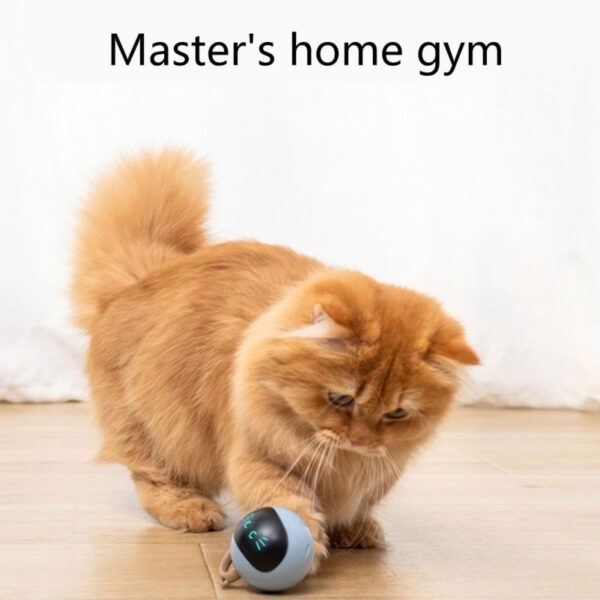 Smart Interactive Cat Toy - Image 4