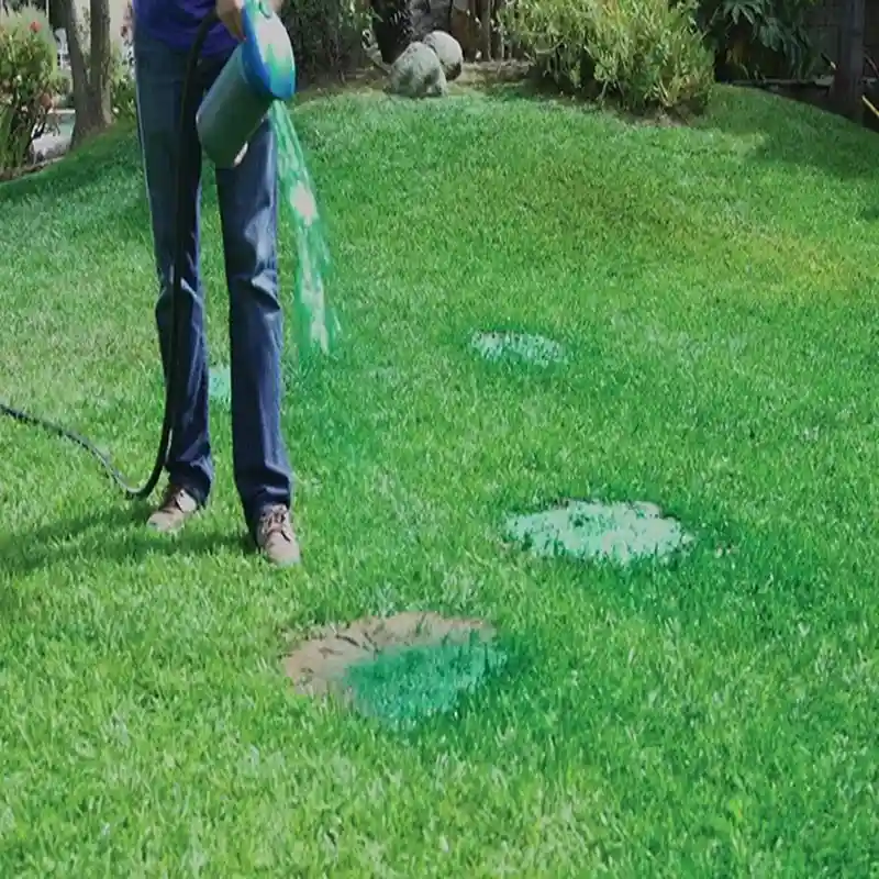 Liquid Lawn System Grass Seed Sprayer - Image 4