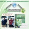🇺🇸 Tienda Oficial | Moringa · Berberina × NAD+ 10-en-1 Advanced Nano Microneedle Patch
