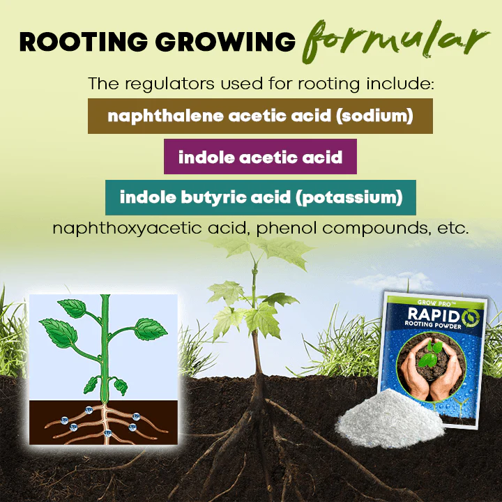 Rapid Rooting Powder - Image 2