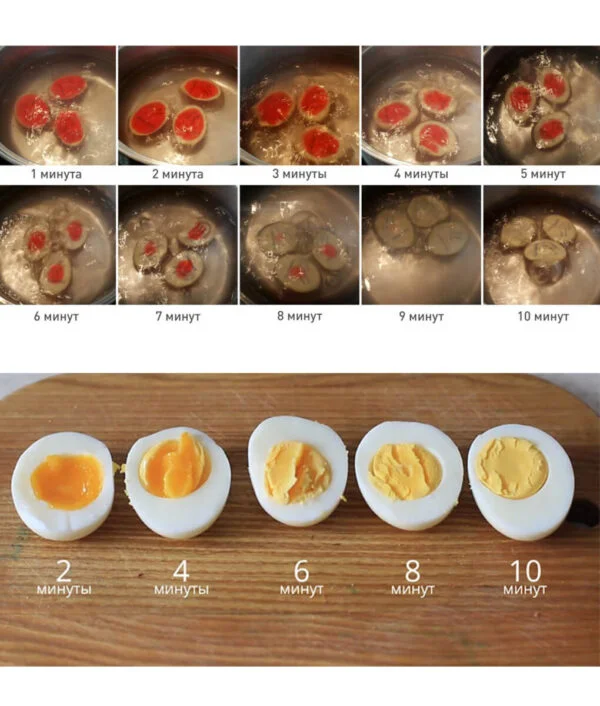 Egg Timer - Image 3