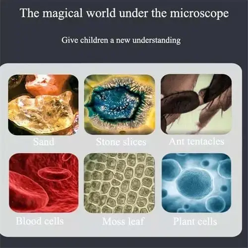 Kid's Portable Pocket Microscope - Image 3