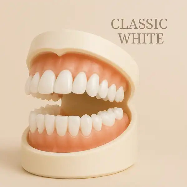 Premium Denture - Image 4