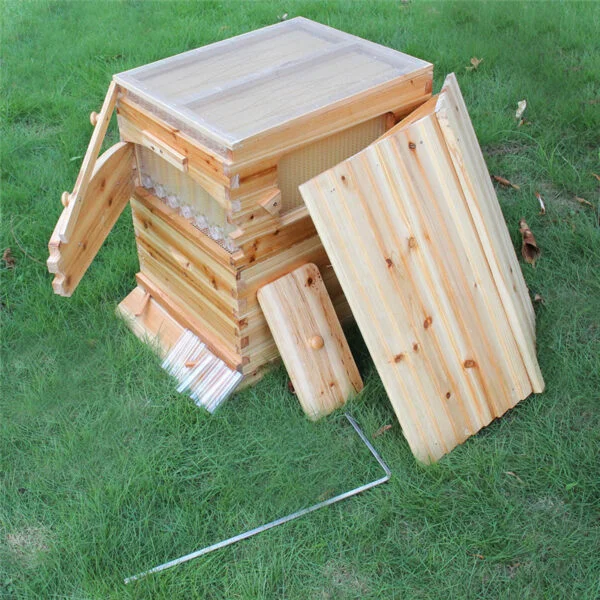 The Honey Sweet Hive - Image 5