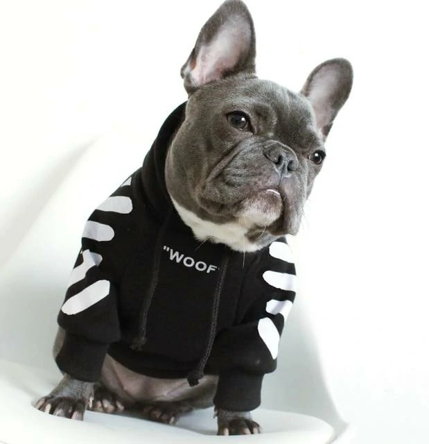 ‘WOOF’ Trendy Dog Hoodie - Image 5