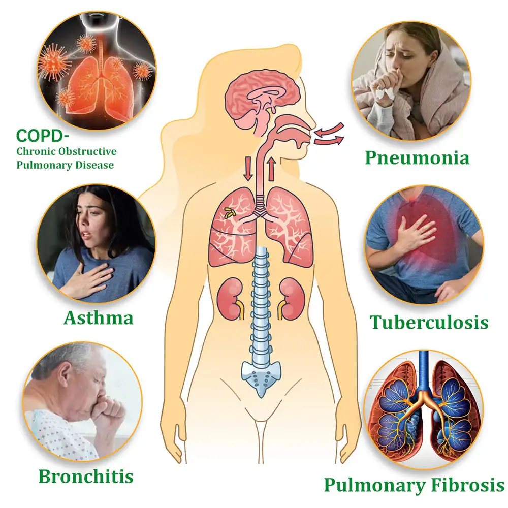 Herbal Lung Cleansing Inhaler - Image 3