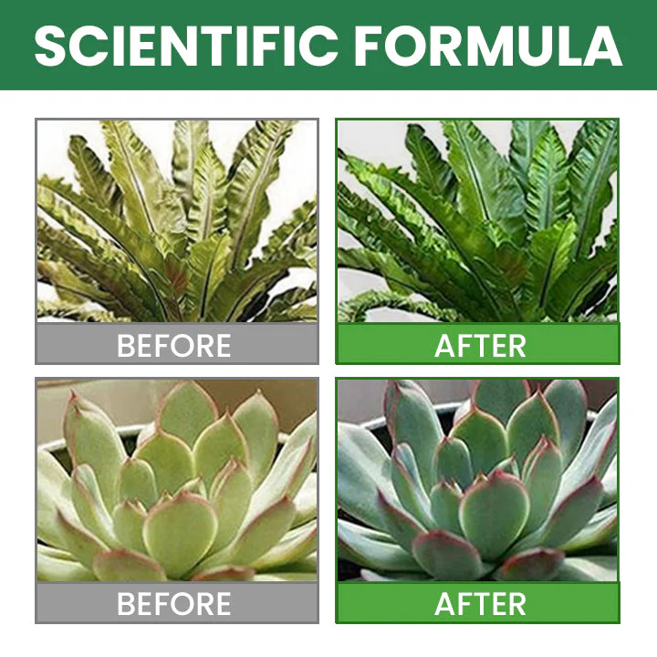 Universal Slow-Release Tablet Organic Fertilizer - Image 8