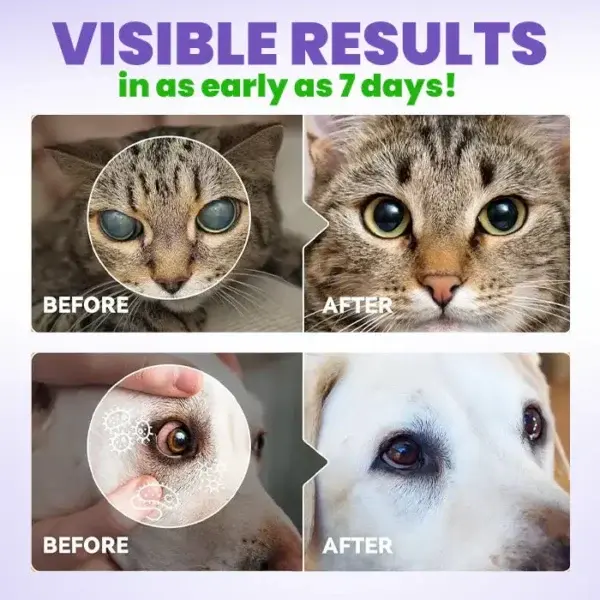 Pet Eye Drops - Image 6