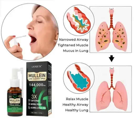 3X Mullein Lung Spray Flush Out Tar Phlegm for Smokers COPD - Image 2
