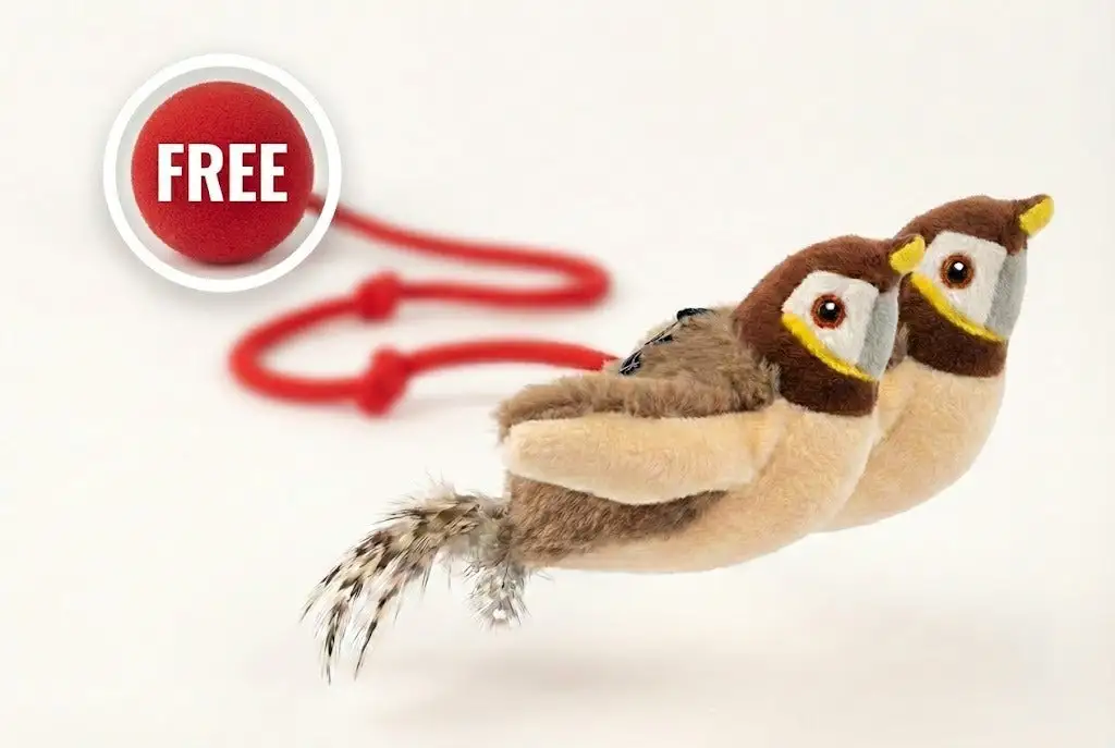 Interactive Chirping Bird Cat Toy - Image 11