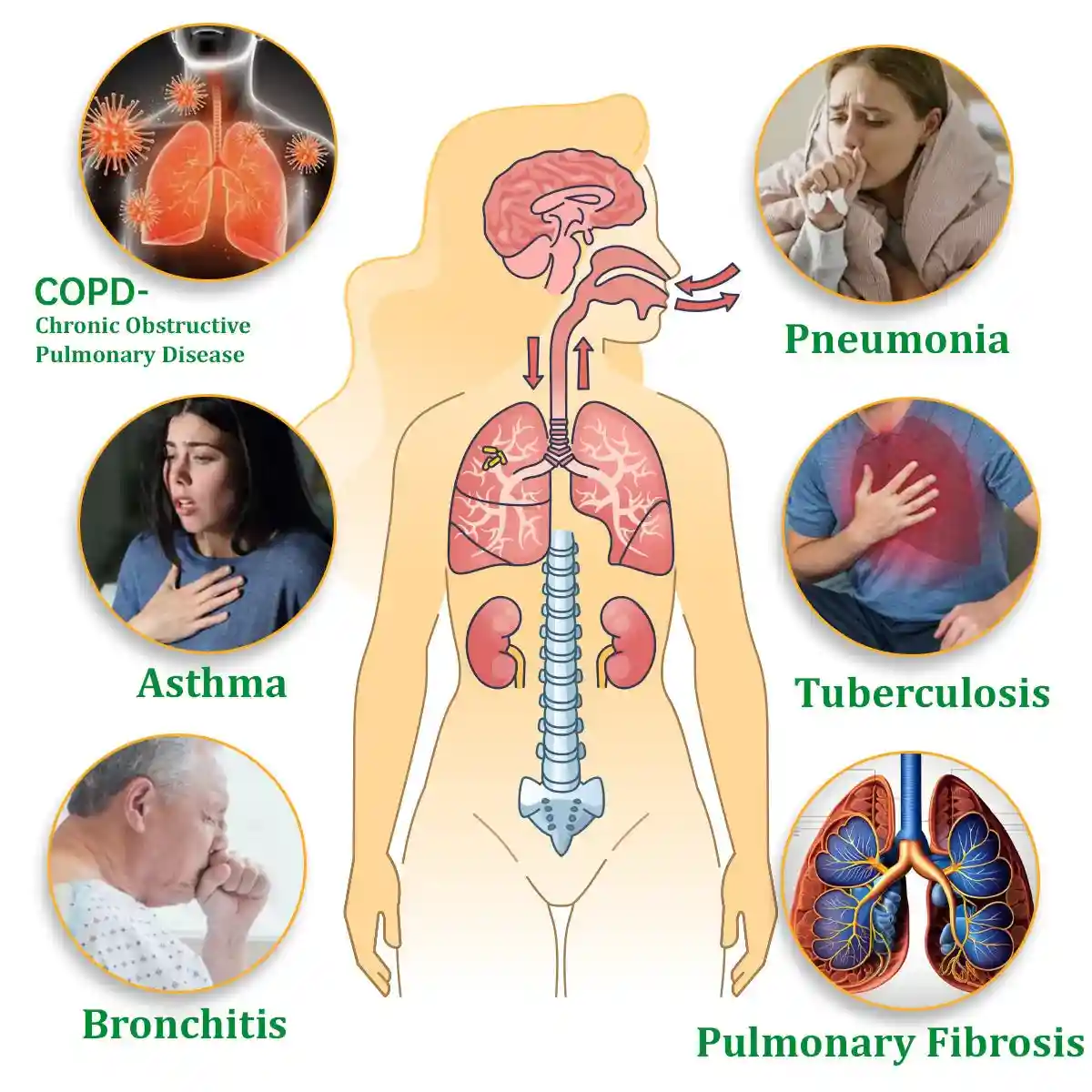 Herbal Lung Cleansing Inhaler - Image 3
