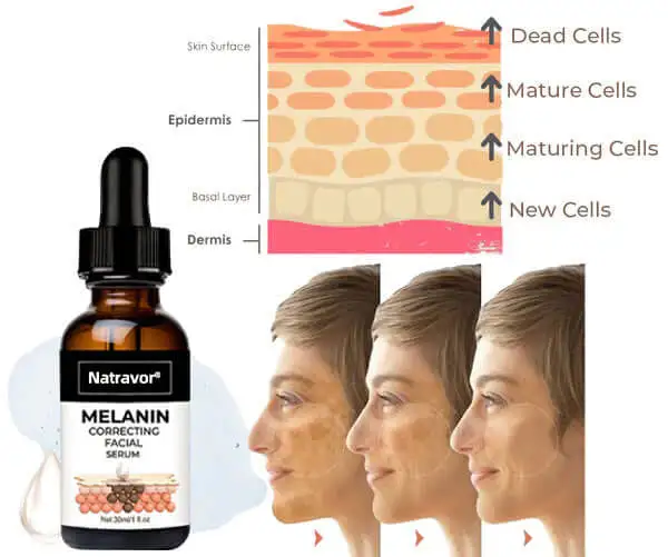 Melanin Correcting Facial Serum - Image 4