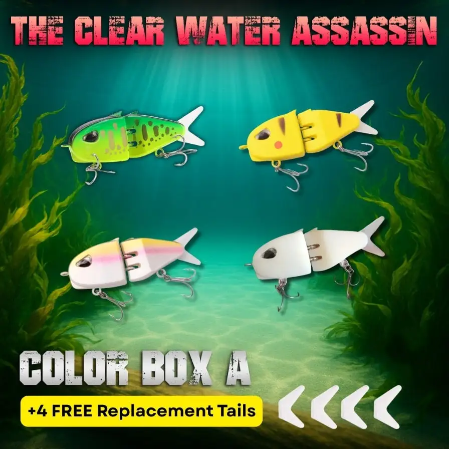 3D Simulation Bait - 4 Pcs Set | MLF Recommended - Image 5