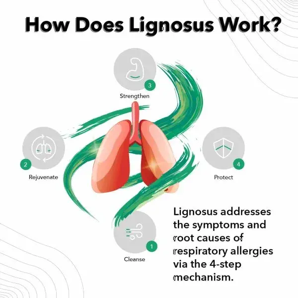 Lignosus Best Natural Respiratory Health Supplement - Image 4