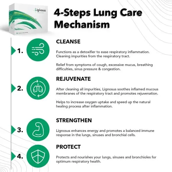 Lignosus Best Natural Respiratory Health Supplement - Image 5