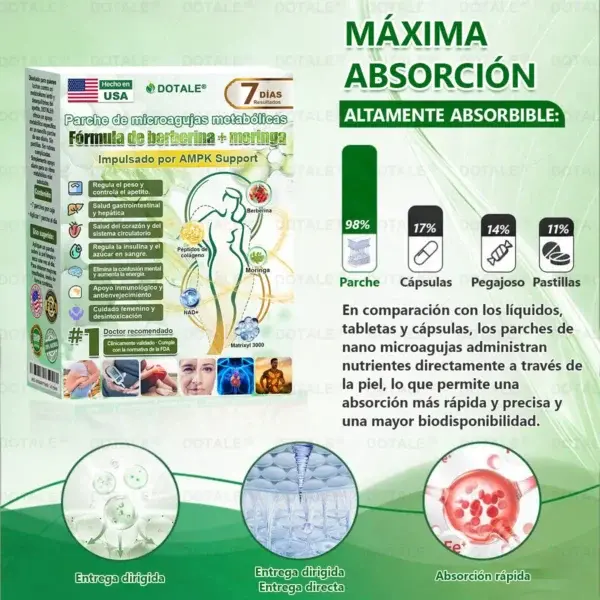 Parche de Microagujas Nano Avanzado 10 en 1 con Moringa Berberina y NAD+ - Image 17