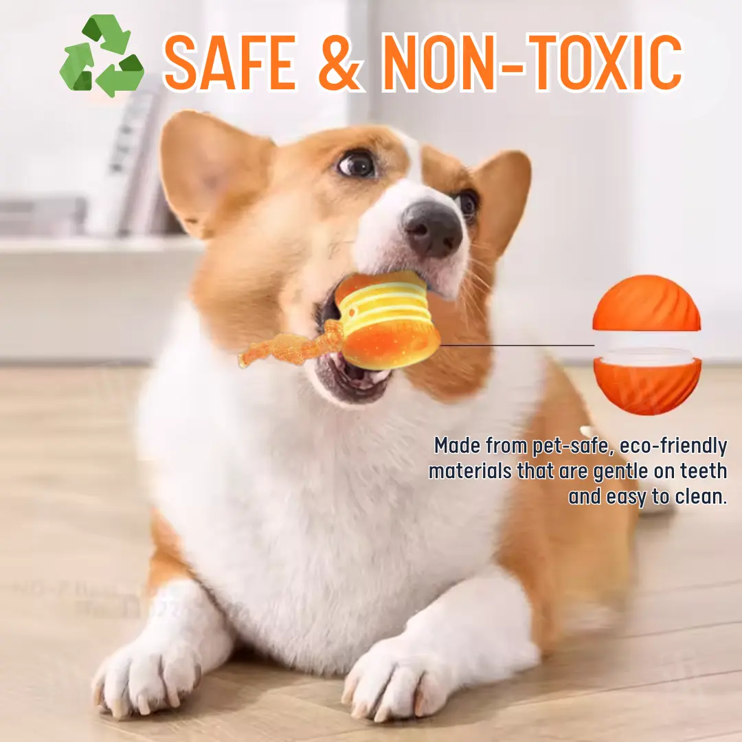 Interactive Moving Dog Ball (๐๐% ๐๐ฝ๐ฝ ๐๐ก๐๐ฆ ๐๐ก ๐ญ๐ฌ ๐ ๐๐ก๐จ๐ง๐๐ฆ) - Image 4
