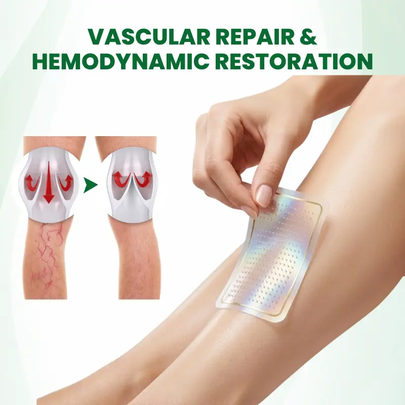Phyto-Vascular Microneedle Patch - Image 6