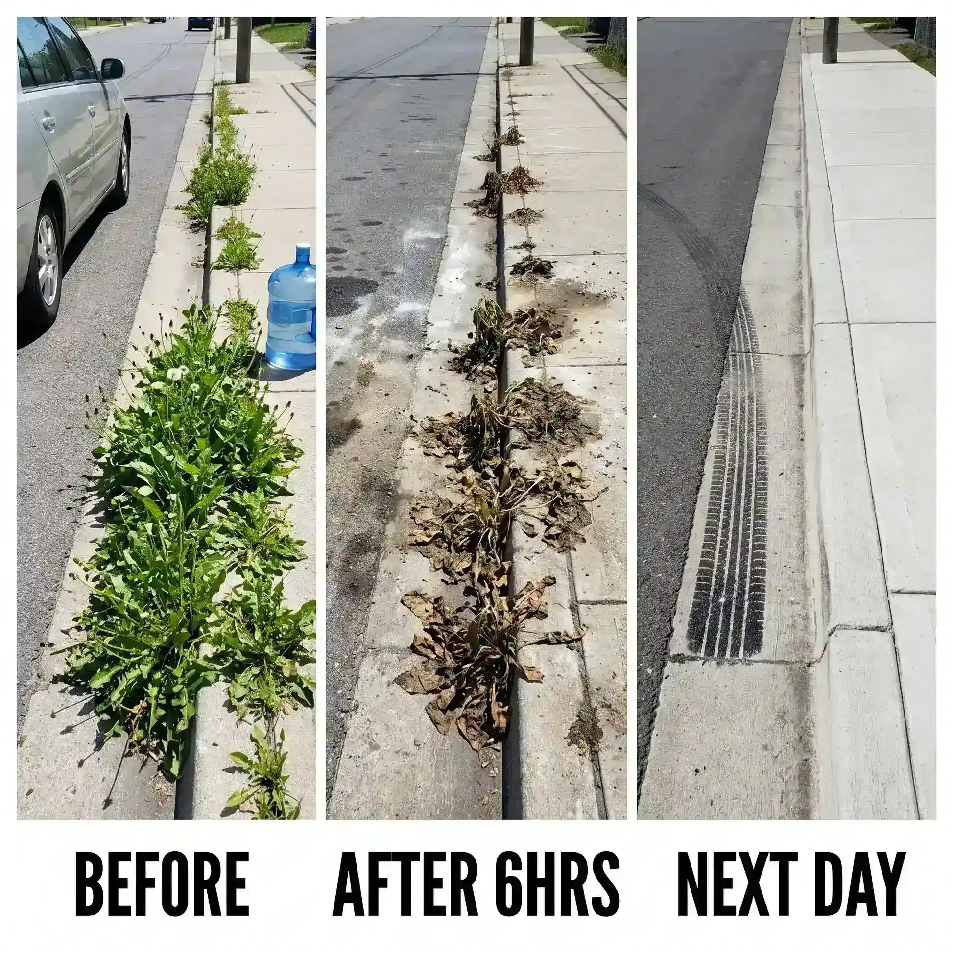 2-in-1 Max Strength Herbicide: Fast Acting Results on Glyphosate-Resistant Weed - Image 5