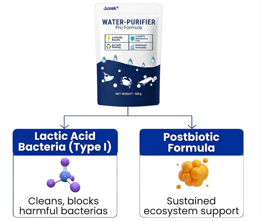 Water-Purifier Pro Formula - Image 9