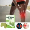 Pain Relief Patch