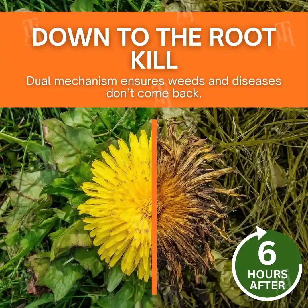 2-in-1 Max Power Herbicide - Image 4