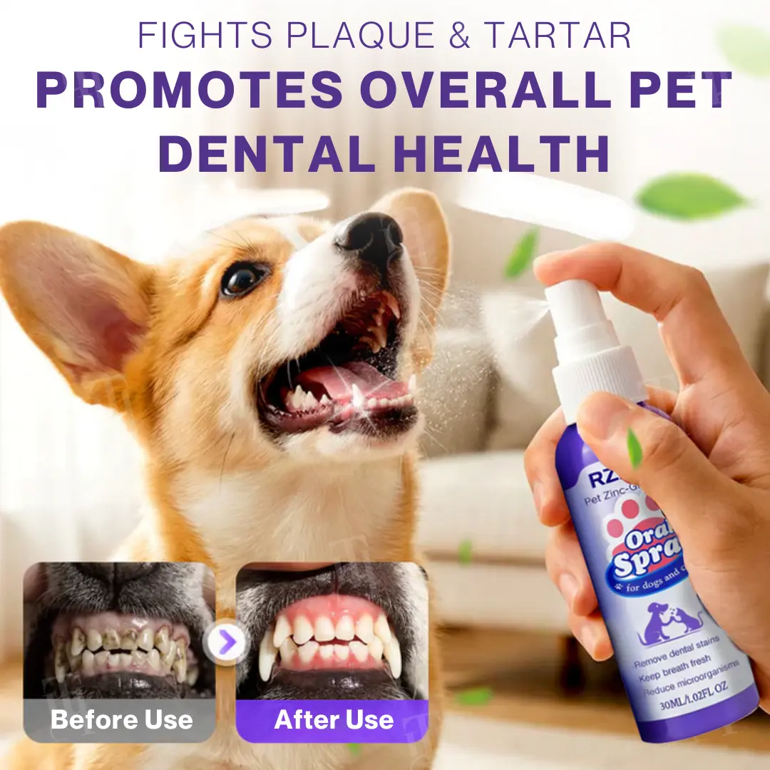 Pet Zinc-Gluconate Oral Spray - Image 4