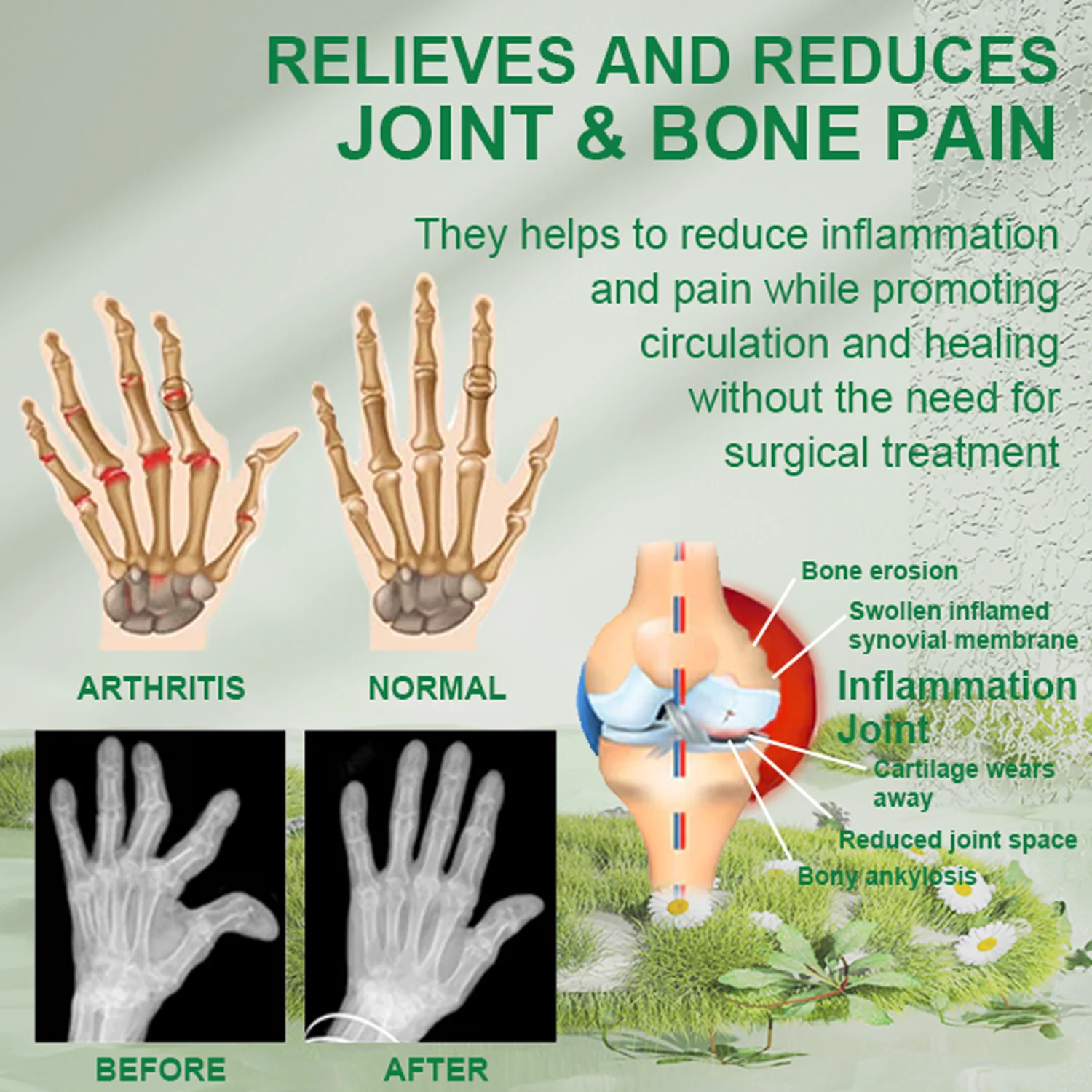 Bee Venom Joint & Bone Therapy Cream - Image 2