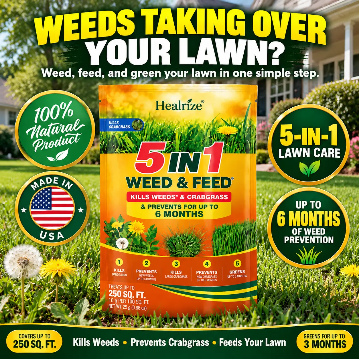 NEW & IMPROVED 5-in-1 Weed & Feed