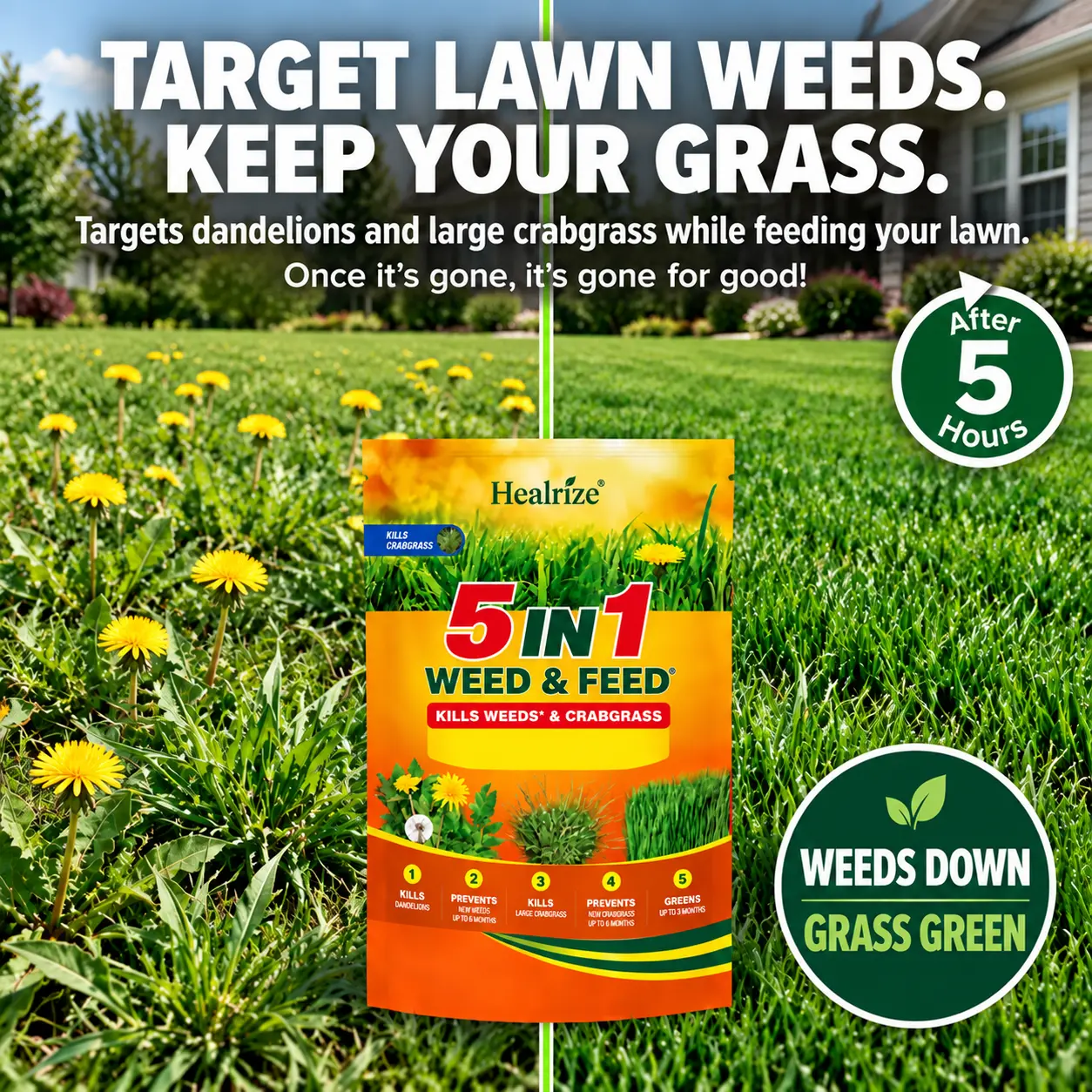 🔥 5-in-1 Weed & Feed | Fast-Acting Dual-Action Granules for Stubborn Lawn Weeds & a Greener-Looking Lawn - Image 4